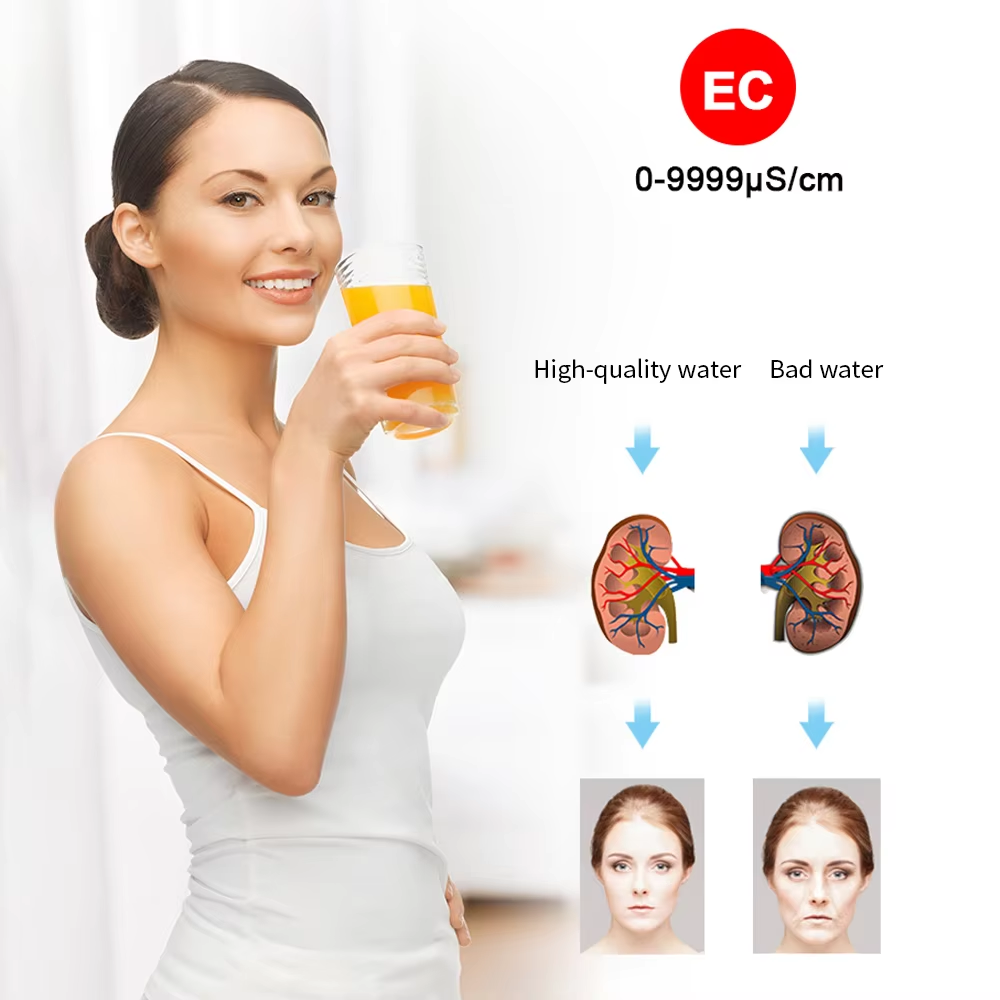 Water Quality Tester Pen-Type  - Ec Meter Digital reseña y precio